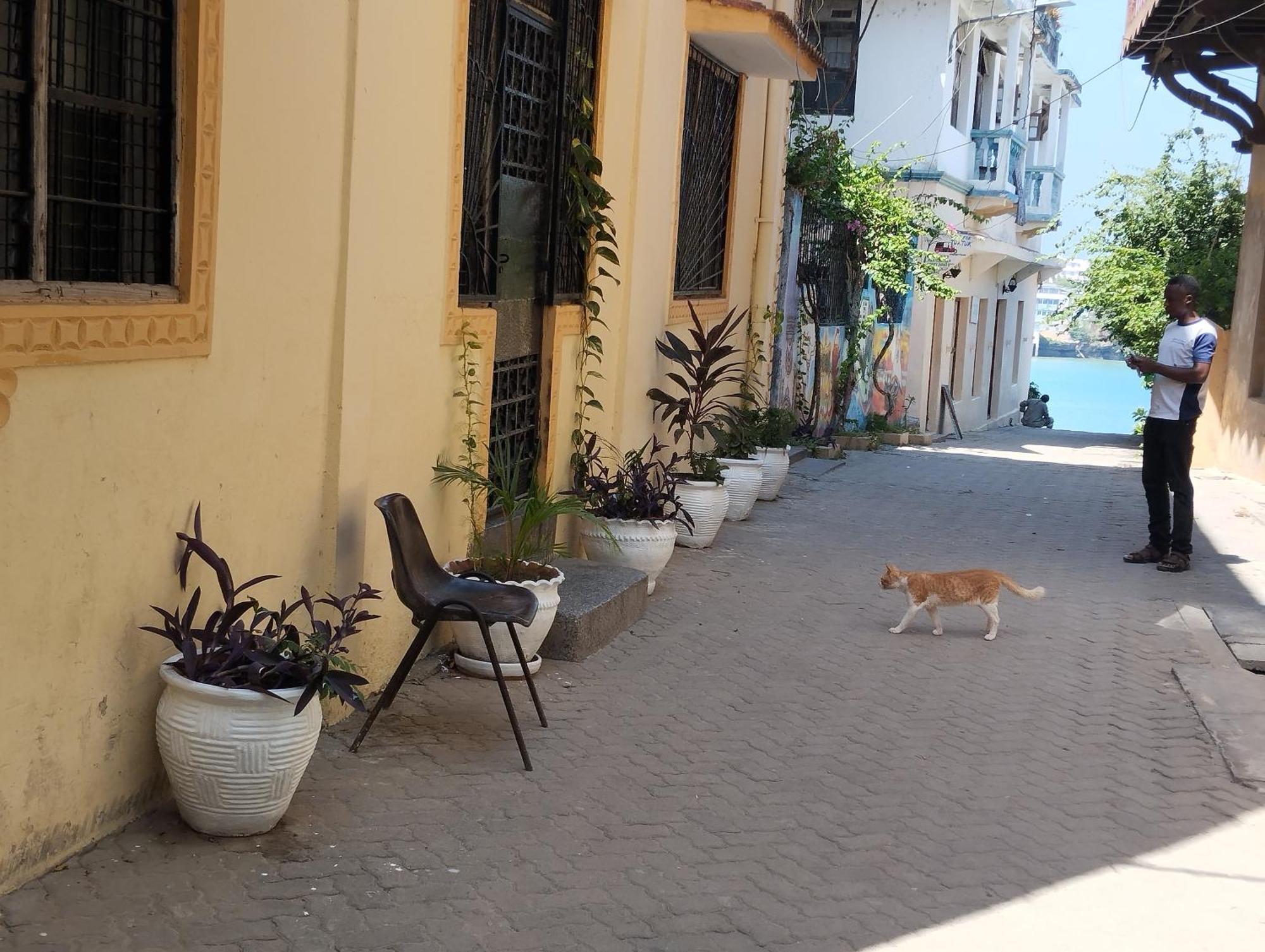 Mombasa Comfort House, Old Town 외부 사진